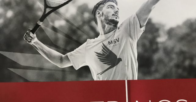 MSV Strings - Top quality strings at a good price