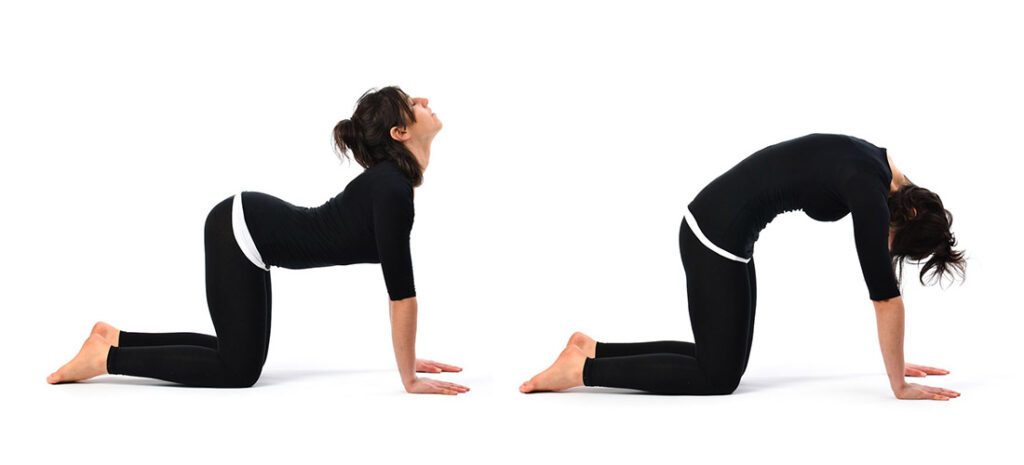 The Best Yoga Poses for Easy Mensuration Flow - The Wellness Corner